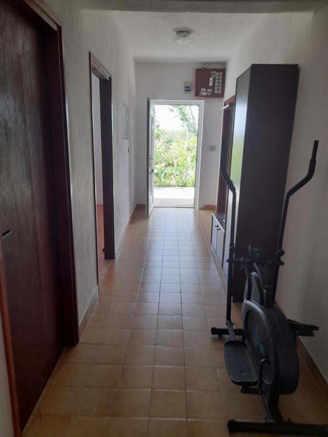 דירות סקארדין Apartman Natali מראה חיצוני תמונה