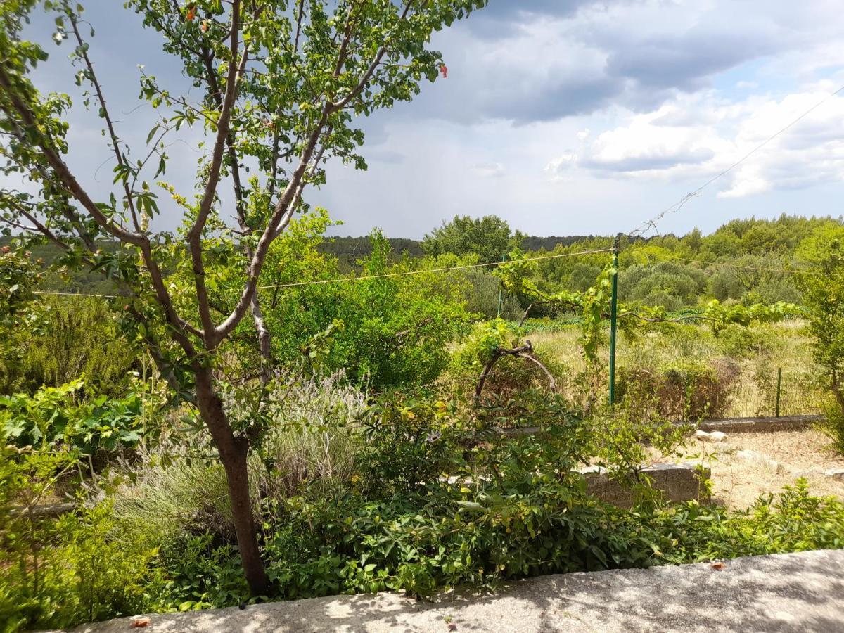 דירות סקארדין Apartman Natali מראה חיצוני תמונה
